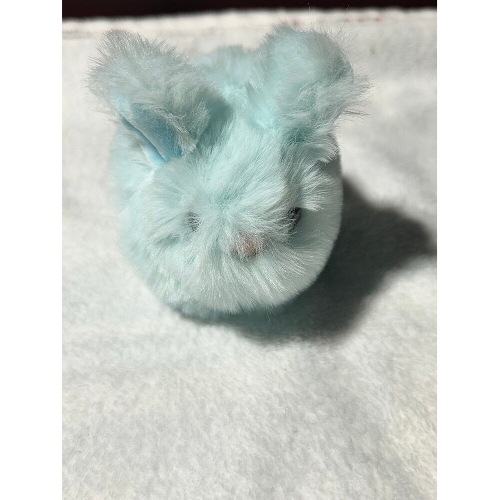 Douglas blue bunny